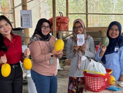 BRI Branch Office Klaten Hadirkan Kemudahan Transaksi QRIS di Rindu Farm Wisata Petik Melon